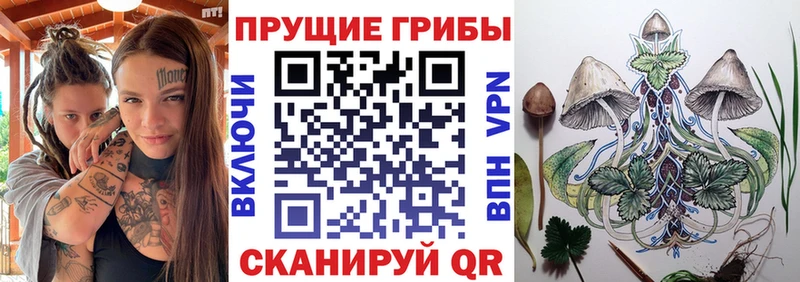 Галлюциногенные грибы Cubensis  Нижние Серги 
